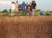 Ученые: разгадана тайна отравления мышьяком 100 млн человек в Азии