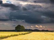 Спека або дощі: якої погоди чекати в Україні в найближчі дні