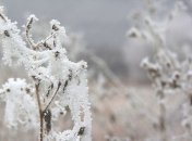 Какой завтра праздник: приметы и обряды на 21 января