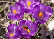 Прогноз погоды на 5-6 мая: выходные будут теплыми, но с дождями и грозами