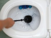 Чтобы очистить унитаз, не нужны дорогостоящие химикаты