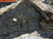 В Британии найден уникальный артефакт