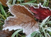 Украину накроет холодный антициклон