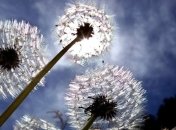 Врачи рассказали, чем опасна такая жара  