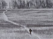 На Донбассе за выходные прогремело более 200 взрывов
