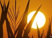 Астрономы выяснили, что Солнце является идеальным шаром