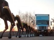 Роботы SpotMini прокатили в упряжке грузовик (Видео)