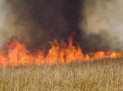 В Украине пожары уничтожили 102,8 га зерновых культур