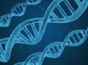 Эксперты впервые вырастили организм с полностью измененным ДНК
