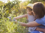 Узнайте, что сегодня нельзя делать и какие есть приметы на этот день