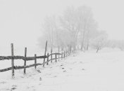 Народные приметы и обряды на 23 февраля – День Прохора