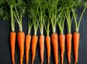 Морква потребує правильного догляду  (зображення створено за допомогою ШІ)