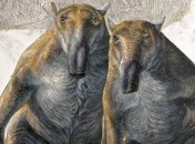 Весили больше тонны: обнаружено семейство странных вымерших сумчатых гигантов