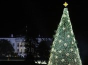 Рождественская елка Надежды зажгла огни в центре Вашингтона