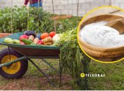 Сода - незамінний та доступний помічник