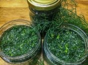 Як засолити кріп на зиму