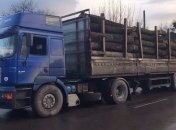 Крал у природы: В Черкасской области задержали чиновника, который незаконно сбывал древесину