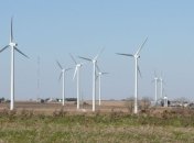 Ветряные турбины опасны для летучих мышей