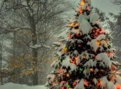 Погода повернула к зиме: украинцам обещают снег и мороз