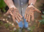 Далеко не всі використовують рукавички