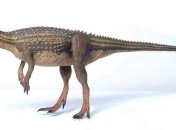 В Канаде ученые сделали уникальное открытие