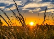 Дочекалися літа: на Трійцю прогріє до +31°