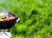 Как сделать майский пикник безопасным и вкусным