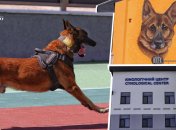 Кінологічний центр під Києвом