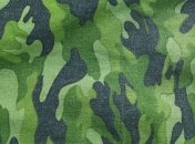 СМИ: Швейцария экспортировала в РФ ткань военного назначения