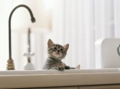 Экономим воду в городской квартире