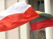 Польша и Литва запустили энергомост