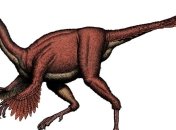 Ученые нашли останки динозавра, которому 66 млн лет