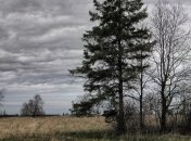 Прогноз погоды в Украине на 15 марта: дожди уходят на запад