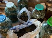 В Киеве правоохранители изъяли 3 килограмма каннабиса (Фото)