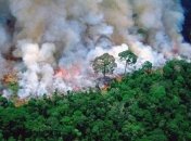 Страны G7 могут помочь в тушении пожаров в Амазонии