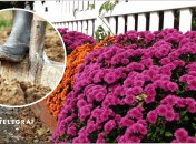 Как подкапывать цветы