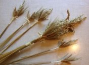 Дидух. Назад к истокам