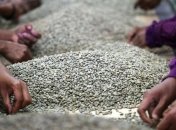 Потребление кофе повышает риск выкидыша