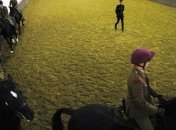 Верховая езда вместо зарядки