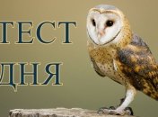 Ваша самая яркая черта характера: тест с животными