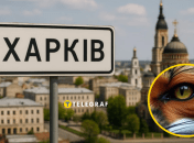 Незвичайну тварину помітили у місті