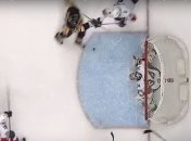 Сумасшедшая шайба из НХЛ, достойная стать лучшей в сезоне (Видео)