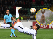 Заяц и матч "Ворскла" - "Спортинг"