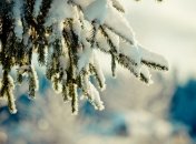 Штормовой ветер и морозы не отступят: синоптик огорчила прогнозом на 8 декабря