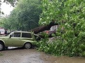 В Украине из-за непогоды десятки сел и городов остались без света