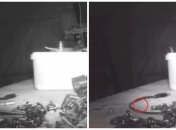 Владелец гаража запечатлел "фиксика"