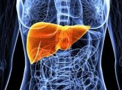 Медики рассказали, как быстро восстановить печень