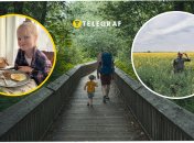 Похищение ребенка Екатерины Чепуры