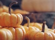 Ребенок будет просить еще: Татьяна Литвинова рассказала, как приготовить вкусный десерт из тыквы (видео)