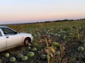 Кадр з відео